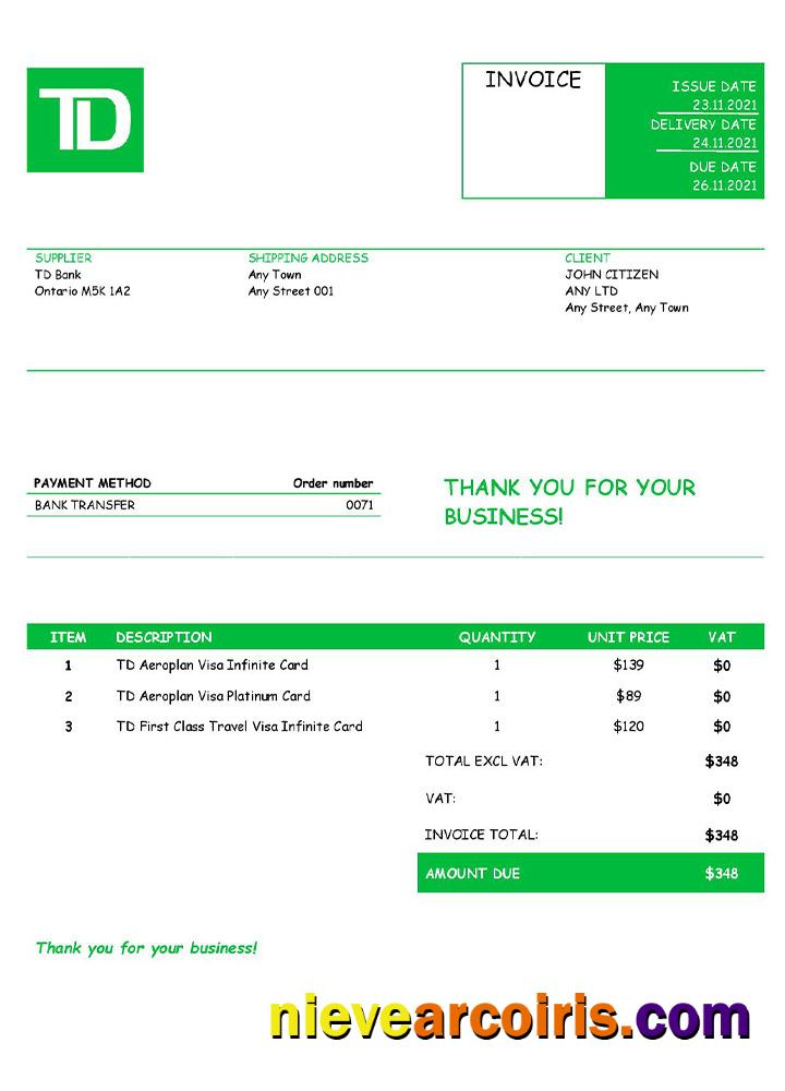 USA TD invoice
